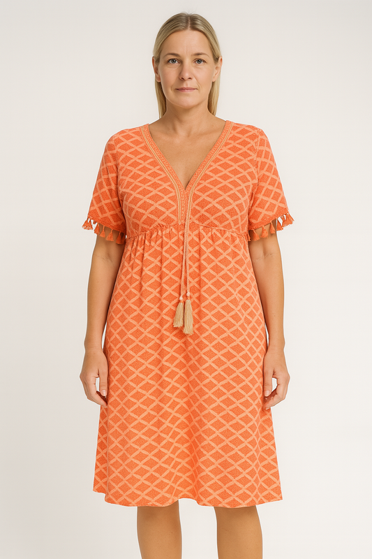 Printed V-Neck A-Line Dress